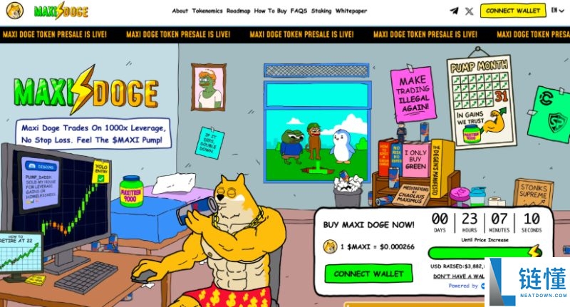 一文盘点2025年11月最佳加密货币预售投资清单