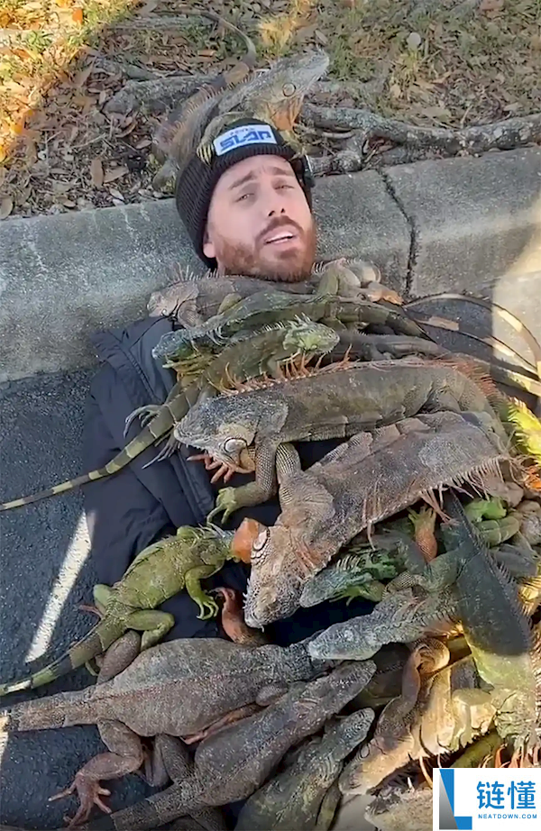 佛罗里达不养闲人,网红收集冻僵蜥蜴当做被子盖在身上