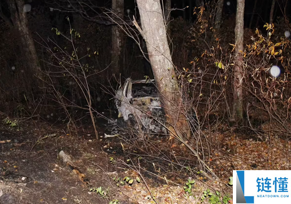 特斯拉Model Y车祸起火后车门打不开 20岁男人报警后身亡