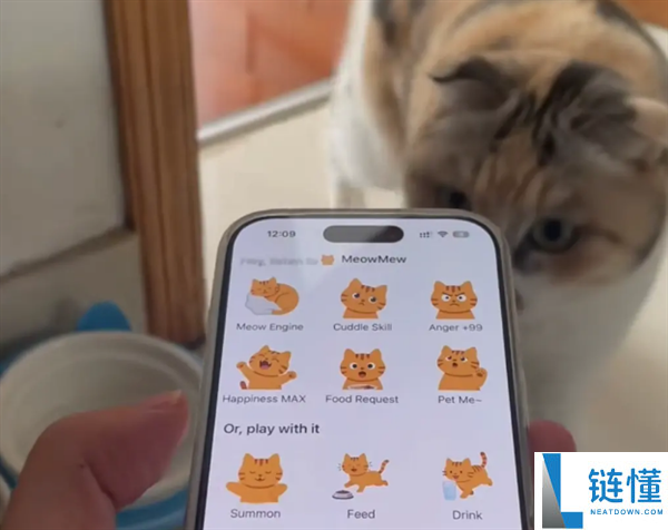 两人用千元做出“猫咪呼唤器”：登顶付费榜后用户猛增500倍