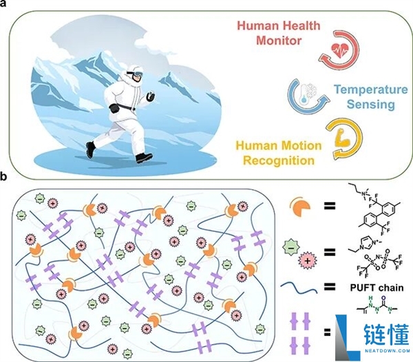 中科院造抗冻离子皮肤：-40℃仍柔韧还能自我修复
