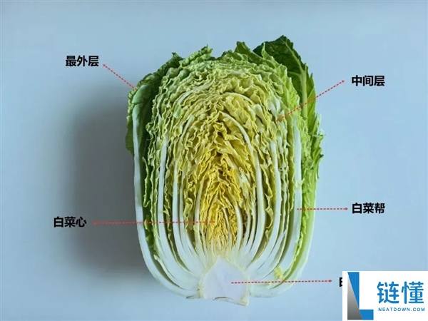 真的想问：一到冬季北方人囤几百斤白菜 真能吃完吗