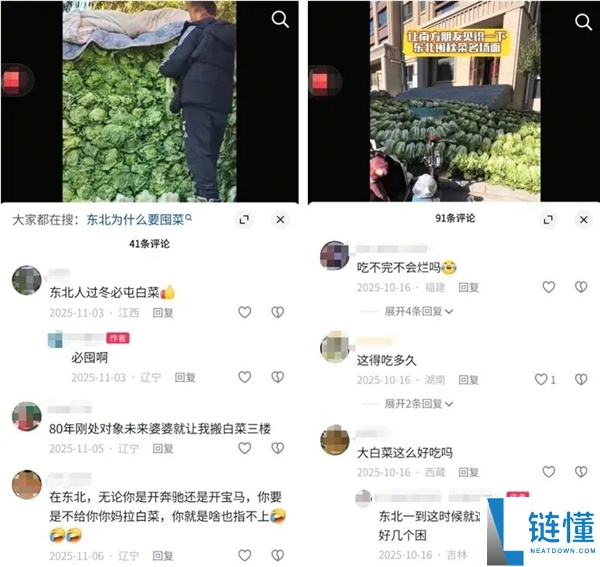 真的想问：一到冬季北方人囤几百斤白菜 真能吃完吗