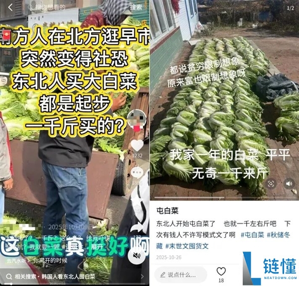 真的想问：一到冬季北方人囤几百斤白菜 真能吃完吗