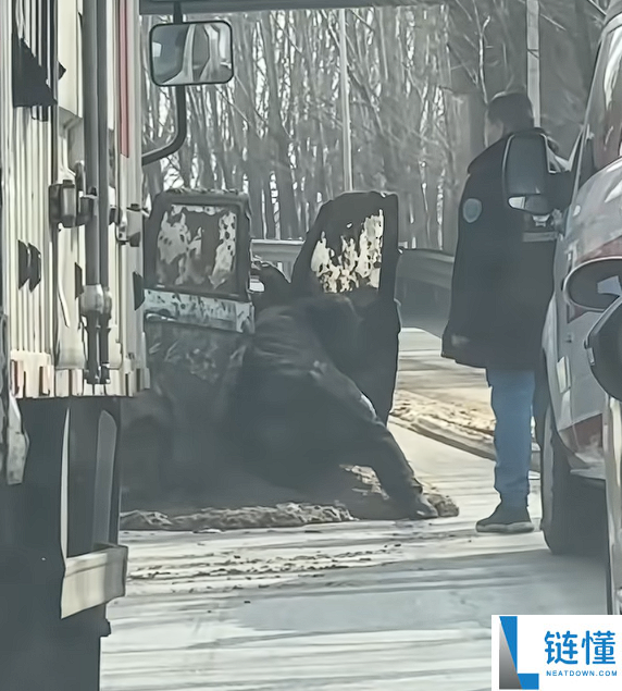 滋味溢出屏幕 老头乐不守交规被拉粪车泼一车粪