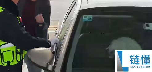 为难,男人驾车返乡竟被猫咪锁在车外：终局竟神反转