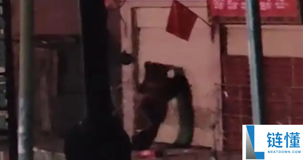 刷视频刷到饭铺被两只黑熊破门闯入,店东懵了：这不是我家店吗