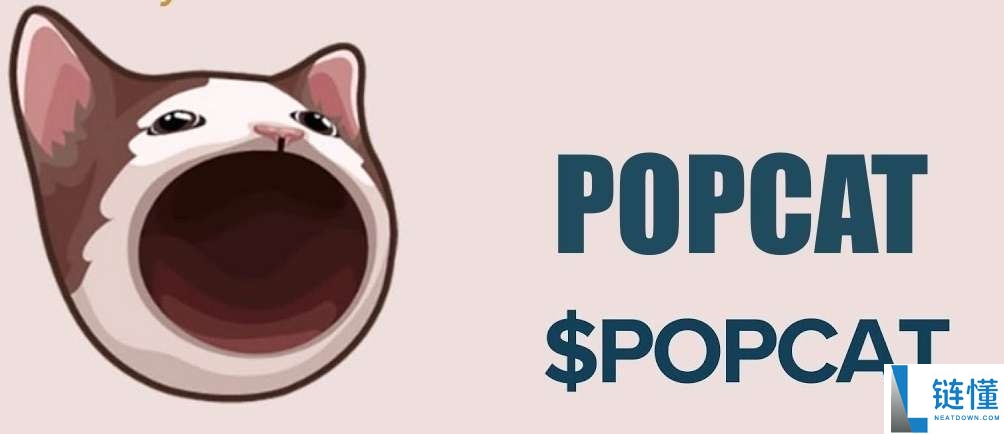 什么是POPCAT？怎么买？POPCAT工作原理、代币经济学及未来前景