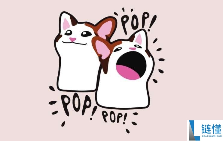 什么是POPCAT？怎么买？POPCAT工作原理、代币经济学及未来前景