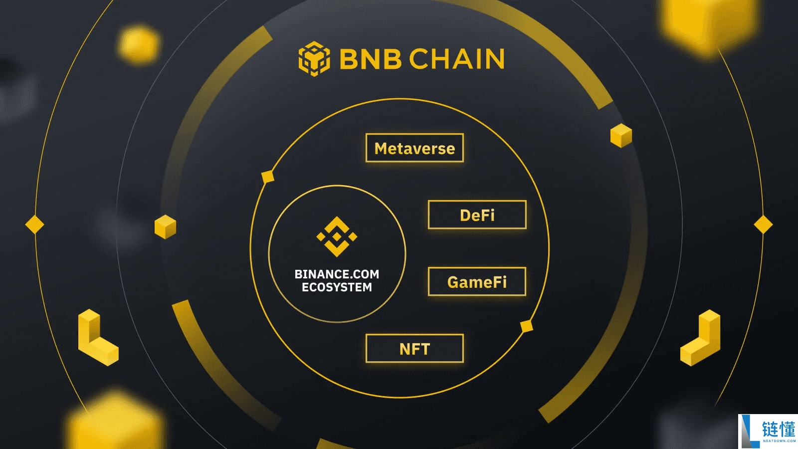 什么是币安币(BNB)币?持有它有何好处?如何购买?