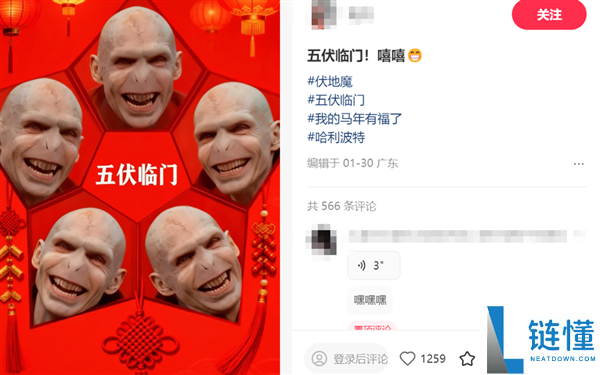看懵了,这届年青人的春节 门路相称野