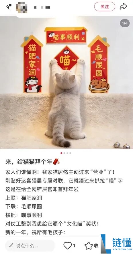 看懵了,这届年青人的春节 门路相称野