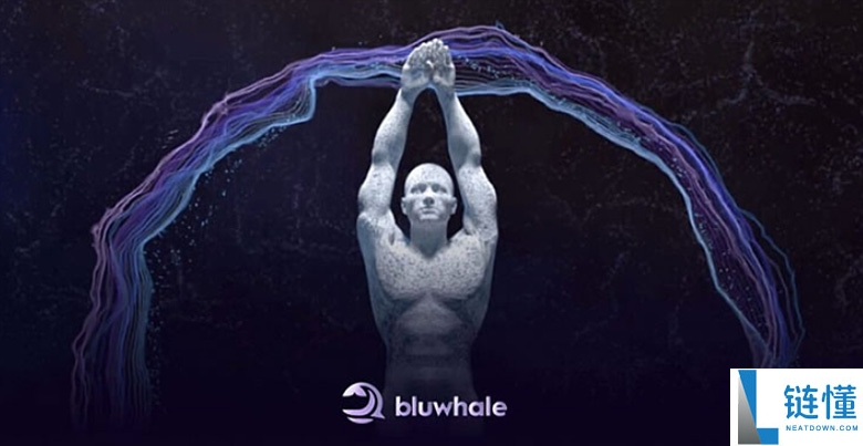 币安 Alpha 新项目 Bluwhale是什么？一文深度解析