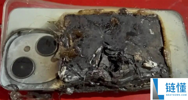 巴西男人被两条狗狂咬 手机倏忽爆炸救了他一命