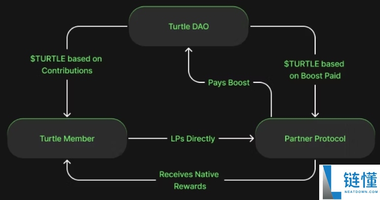Turtle(TURLE)币是什么?怎么样?TURLE代币经济与未来前景分析