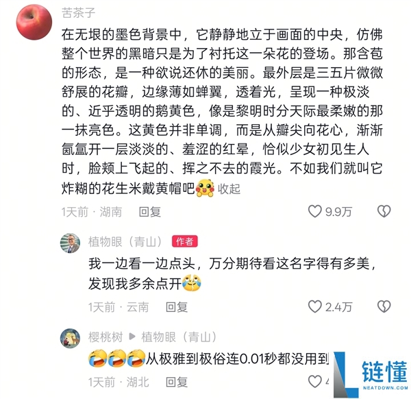 专家拜托给新种类兜兰征名 “炸糊的花生米戴黄帽”高居第一