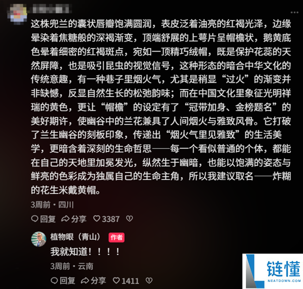 专家拜托给新种类兜兰征名 “炸糊的花生米戴黄帽”高居第一