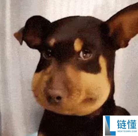 七大中文Meme币是哪些？谁有机会上线币安主站？一文详解