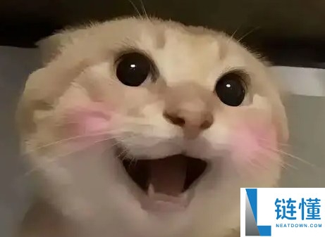 中文Meme币有哪些?该如何选择?七大热门中文Meme币盘点