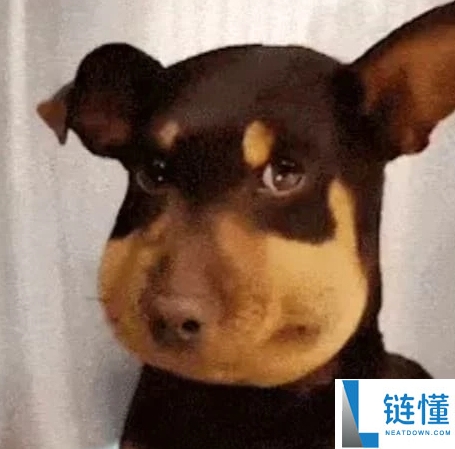 中文Meme币有哪些?该如何选择?七大热门中文Meme币盘点
