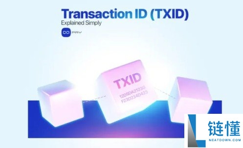 什么是加密交易ID（TXID）？如何查找和检查TXID