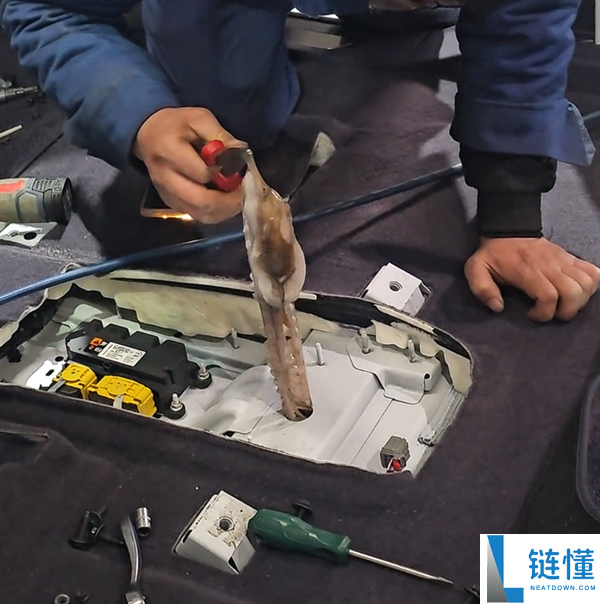 八爪鱼钻车内失踪3天车主解体乞助：找到后快把修车徒弟熏吐了