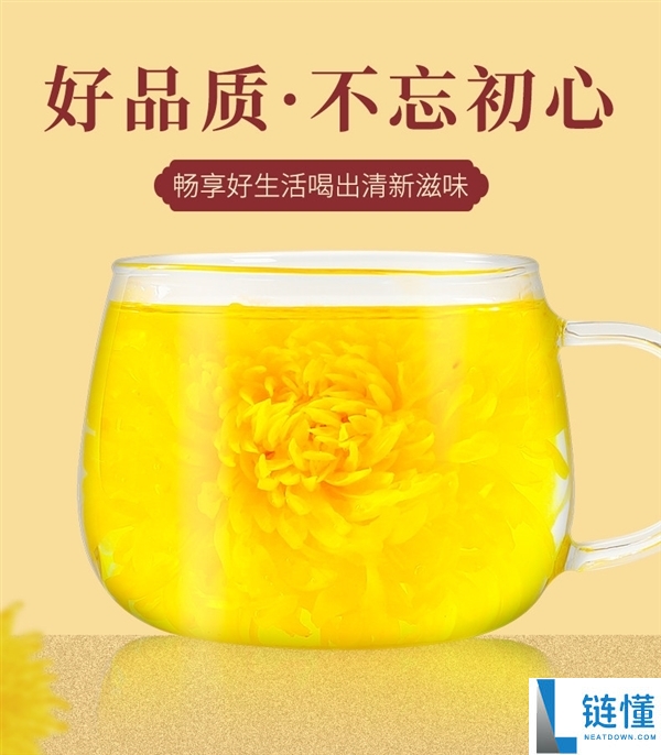 很大一朵、一泡沁心,金丝皇菊50朵5.9元大促速囤