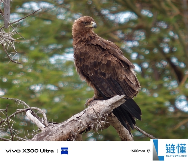 vivo全新增距镜揭晓：大炮400等效400mm,行业最高倍率