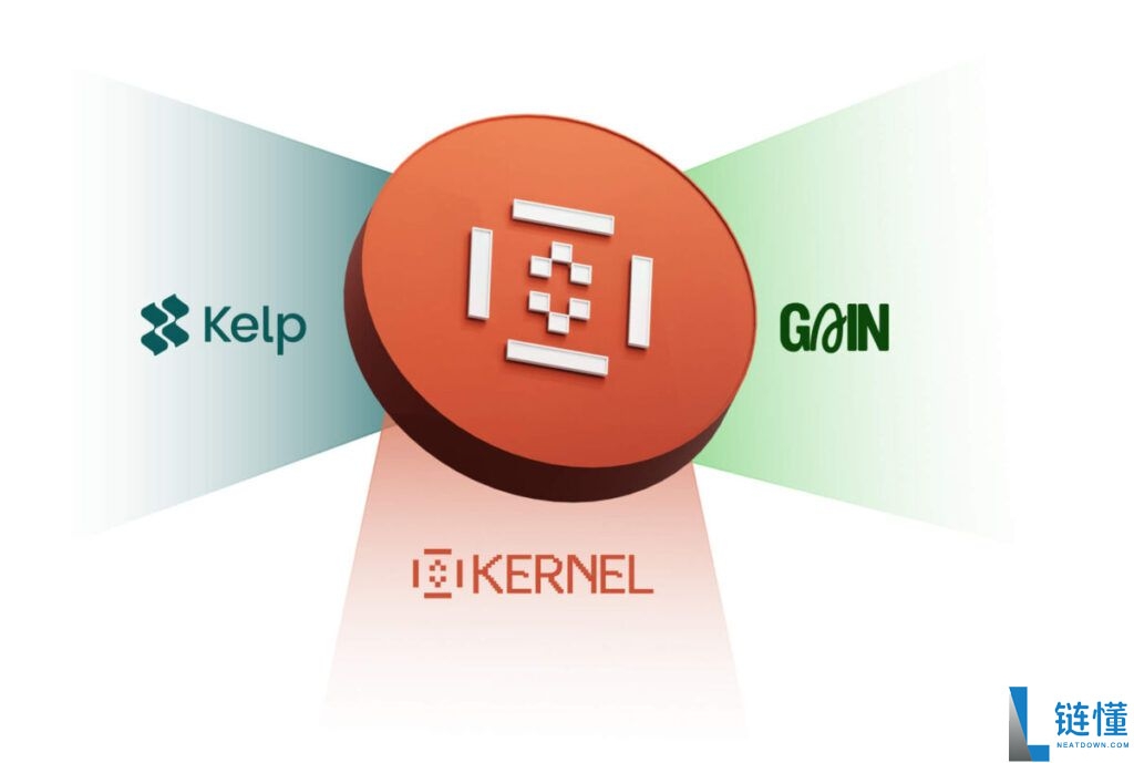 什么是 KernelDAO (KERNEL)币？KERNEL生态系统、代币经济学及价格预测