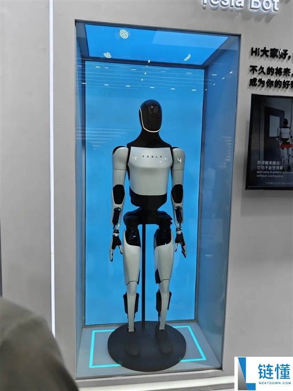要不是逛过这个展 我真认为机械人能做家务了