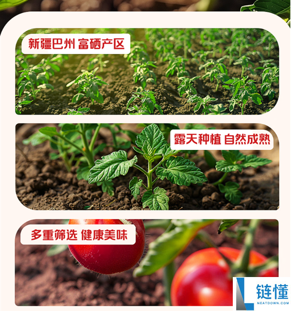 配料只要番茄 茄汁面绝配,新疆番茄酱罐头发车：7.5元