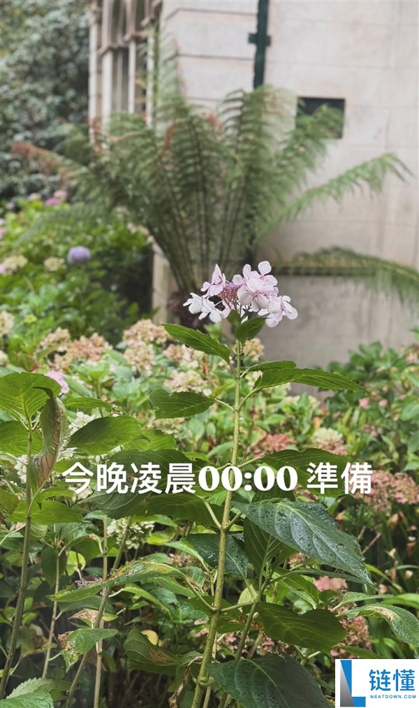 新专辑终究来了,周杰伦发文：今晚0点筹办