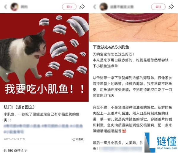它被网友称为“最恶毒的鱼” 养分师却建议多吃