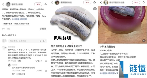 它被网友称为“最恶毒的鱼” 养分师却建议多吃