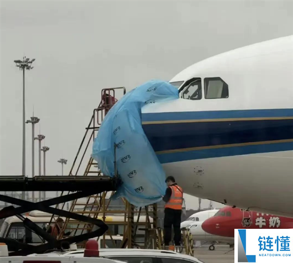 雷达罩疑零落,上海飞深圳航班遭鸟击告急出航 南航传递