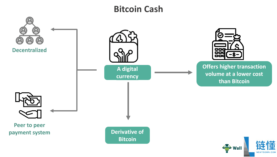 比特币 vs 比特币现金：数字黄金与数字现金