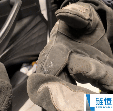 车里钻入超凶大老鼠 消防员手套都被咬穿 一查原来是竹鼠