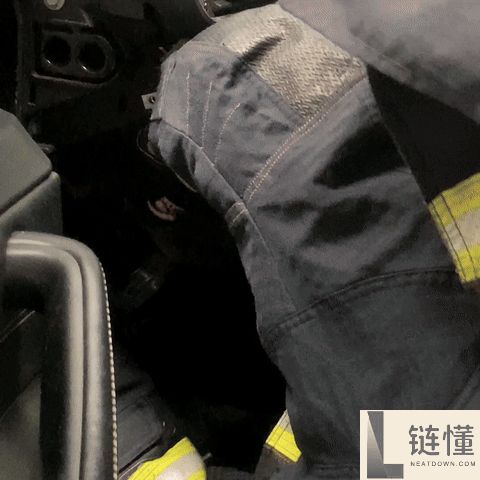 车里钻入超凶大老鼠 消防员手套都被咬穿 一查原来是竹鼠