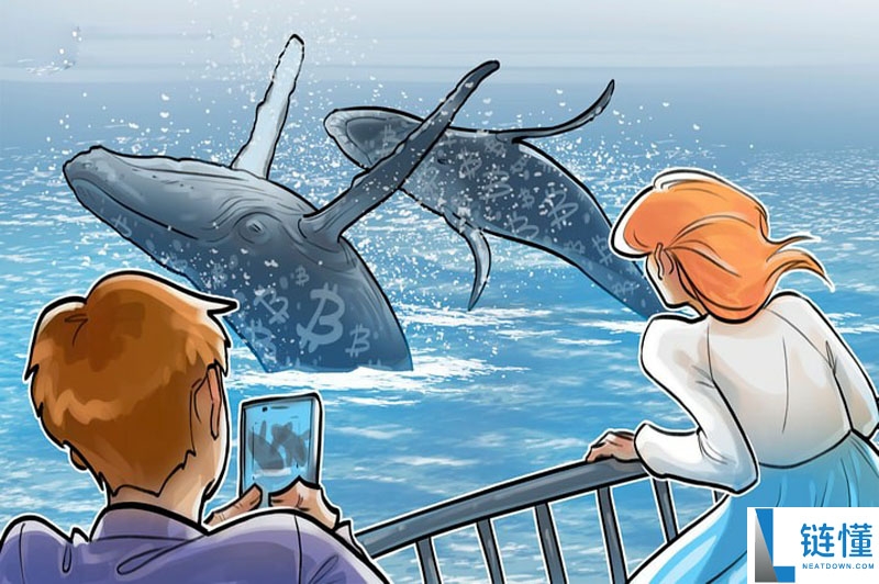 比特币巨鲸一个月抛售 14.7 万枚 BTC：下一站是 10 万美元吗？一文了解