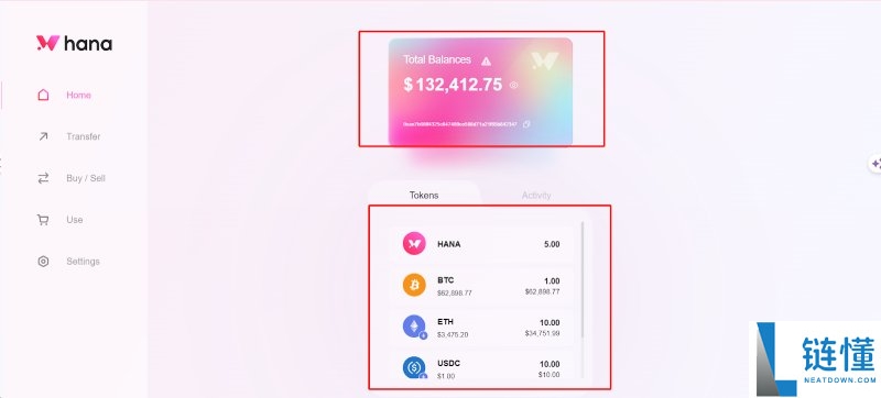 Hana Network(HANA)币是什么?值得投资吗?HANA代币经济与前景分析
