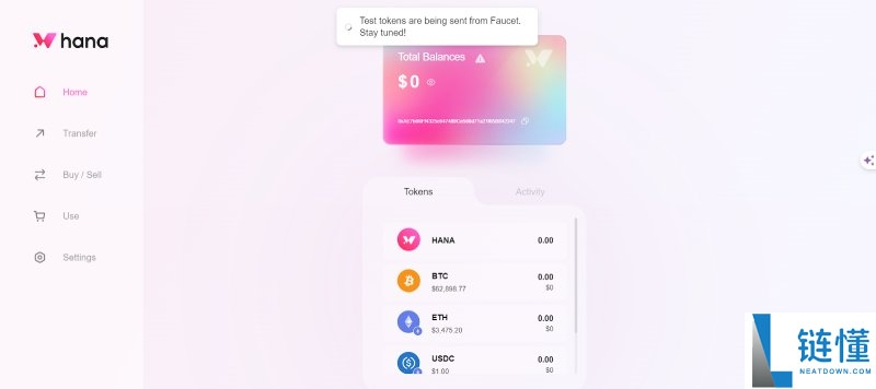 Hana Network(HANA)币是什么?值得投资吗?HANA代币经济与前景分析