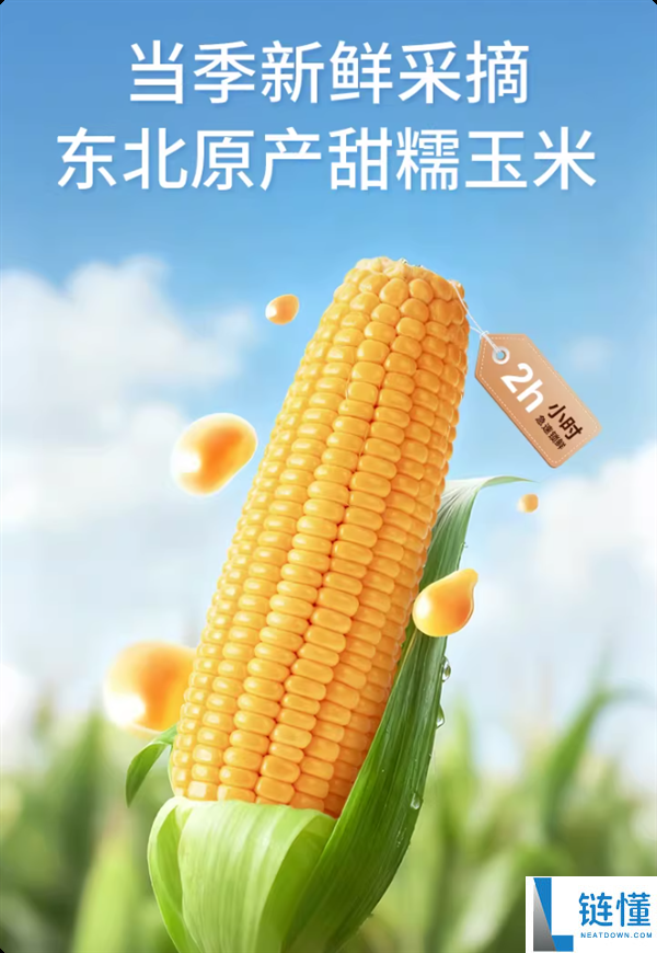 正宗东北玉米 甜度高：啃糯东北黄金糯玉米9.9元5棒大促