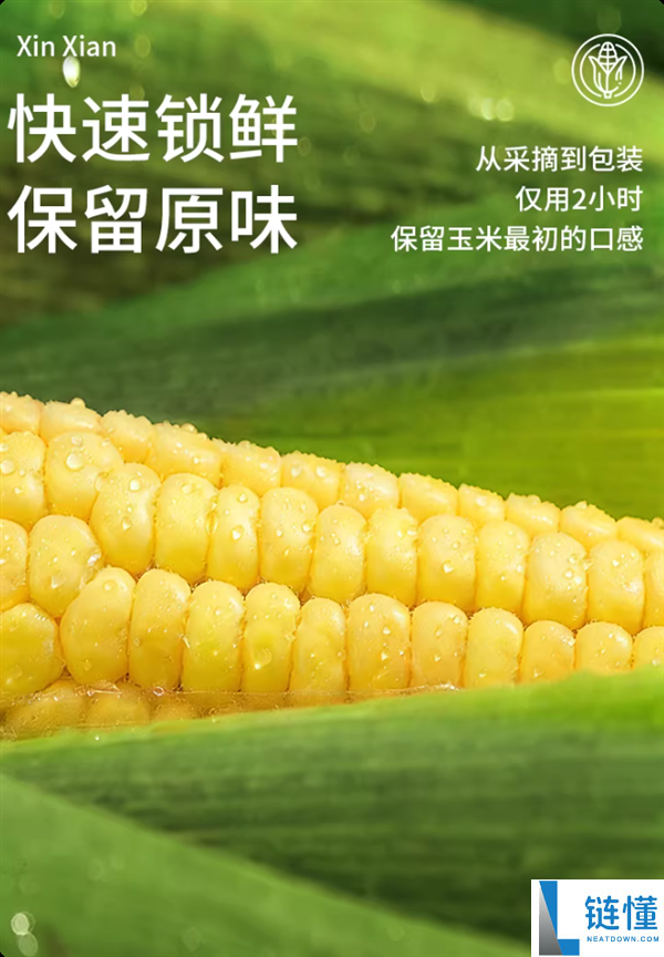 正宗东北玉米 甜度高：啃糯东北黄金糯玉米9.9元5棒大促