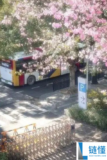 韩国网友偷广州街景图称是首尔,阅读破百万后引争议删除