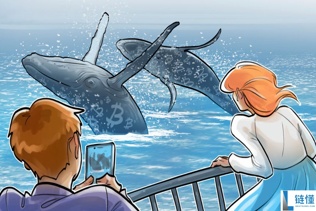 Bitfinex 巨鲸看涨比特币至 2026 年：本周 BTC 五大重磅新闻