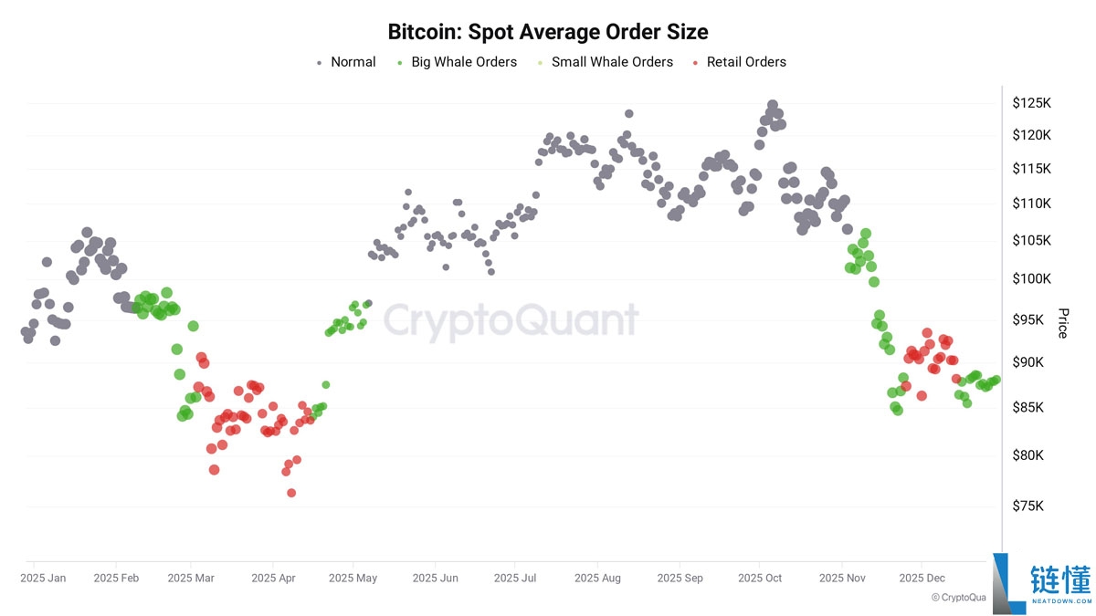 Bitfinex 巨鲸看涨比特币至 2026 年：本周 BTC 五大重磅新闻