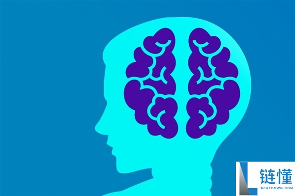 左撇子更聪明吗？中国科学家揭秘：惯用手并非天生，真相颠覆认知