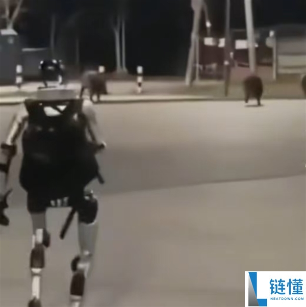 国产宇树机器人波兰街头显身手：成功吓退 3 头野猪