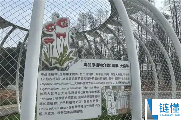 武汉植物园现罂粟花引关注：园方回应系科普用途并配密码锁