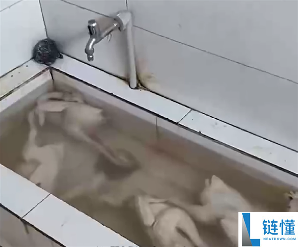 超市厕所水池浸泡白条鸡？商家回应未售卖，市监局最新通报